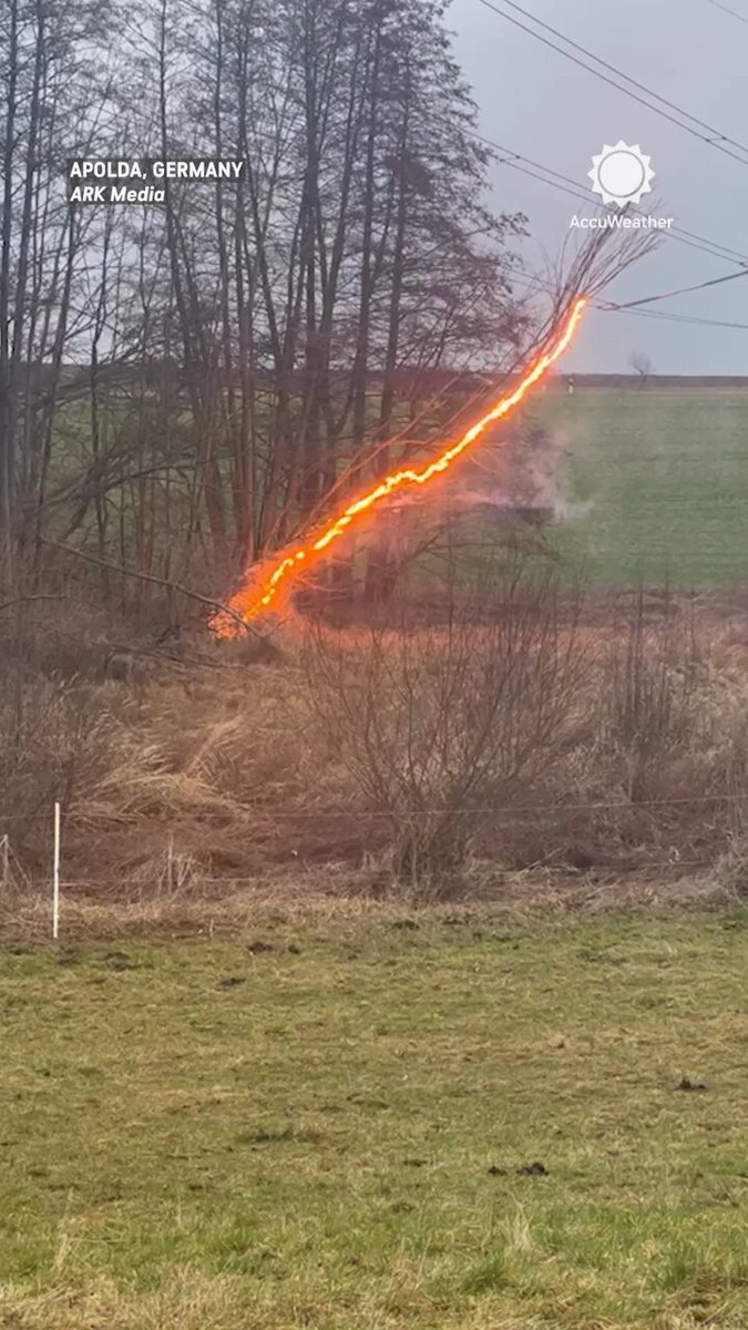 Un arbre a pris feu en Allemagne après être tombé sur une ligne électrique sous tension lors d'une tempête.