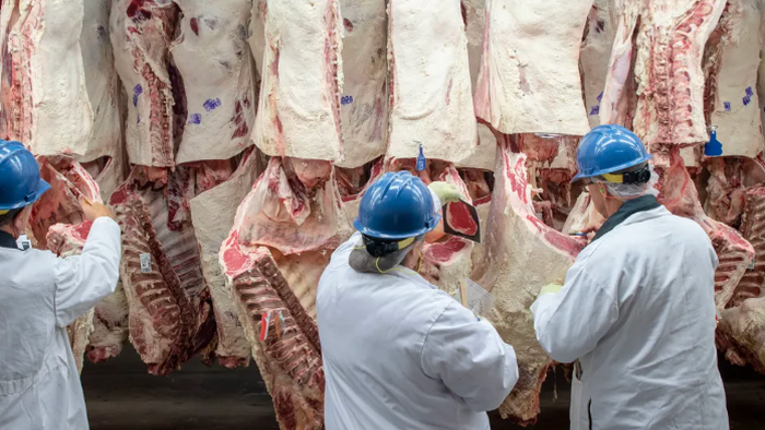 BMO déclare que le retour du bétail mexicain est « clairement positif » pour deux conditionneurs de viande abattus