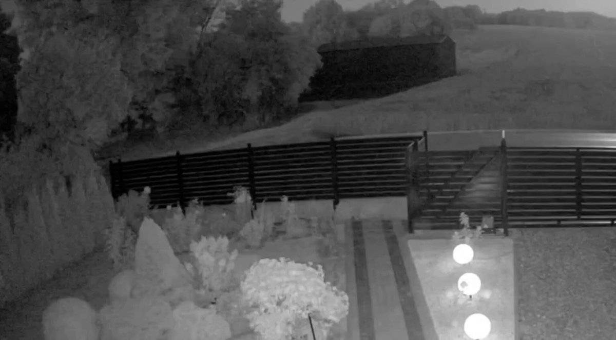 La Pologne et l'OTAN ont activé leurs défenses aériennes et terrestres en réponse à l'incident précédent,…