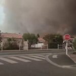 Plusieurs chevaux sont évacués alors que des incendies de forêt meurtriers ravagent le sud-ouest de la France.