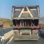 Des images de la vague migratoire d'hier vers Ceuta montrent un camion déchargeant des jeunes hommes près…