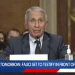 "Je pense qu'il a clairement induit le Congrès en erreur.
