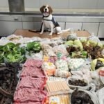 Border K9 renifle 99 livres de viande, de plantes et de varans interdits dans une valise en provenance de Thaïlande
