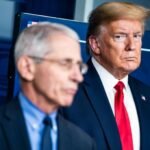 Dans le journal privé de Fauci : ce qu'il a écrit sur Trump, les personnalités de la télévision et les célébrités