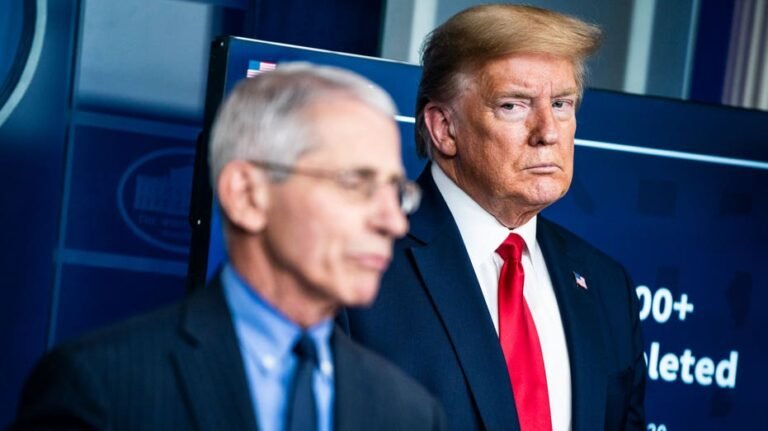 Dans le journal privé de Fauci : ce qu'il a écrit sur Trump, les personnalités de la télévision et les célébrités