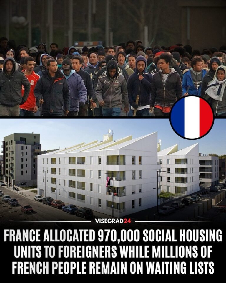 Environ 970 000 logements HLM (logements sociaux) ont été attribués à des familles de nationalité…