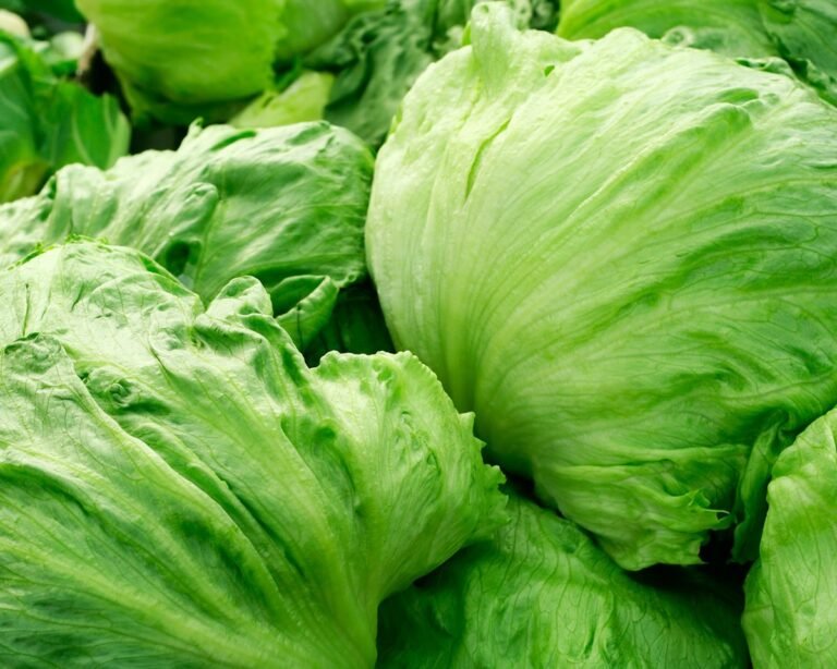 PLUS DE CAS DE CYCLOSPORIASE : Les responsables de la santé du Michigan ont signalé mercredi 7 171 cas…