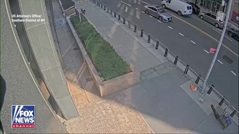 Les procureurs fédéraux publient une nouvelle vidéo de surveillance montrant l'arrestation d'Andrew…