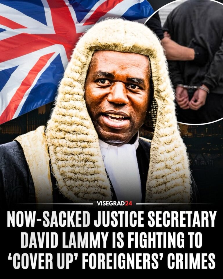 Le ministère britannique de la Justice, dirigé par l'ancien secrétaire à la Justice David Lammy,…