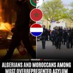 De nouvelles statistiques néerlandaises sur la criminalité concernant les demandeurs d'asile montrent que…