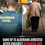 La Garde civile espagnole a démantelé un groupe criminel accusé d'avoir violemment volé des femmes âgées à…