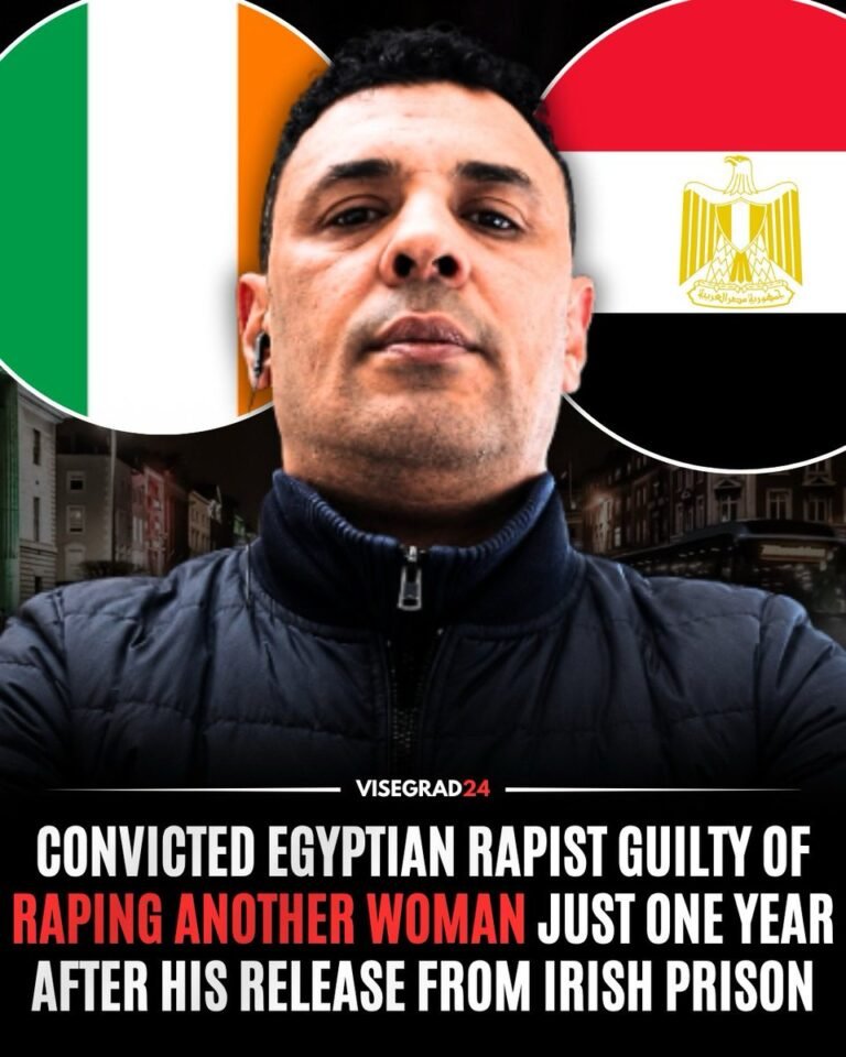 Le demandeur d'asile égyptien Ibrahim Ahmed Gharib, 48 ans, a été reconnu coupable de viol et d'agression…