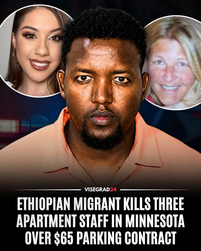 Un migrant éthiopien de 30 ans, Tsegaab Ademassu Binessu, a été inculpé de trois chefs de meurtre au…