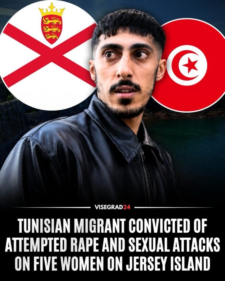 Abdelkarim Arfaoui, un Tunisien de 27 ans, a été reconnu coupable de tentative de viol et d'agression…