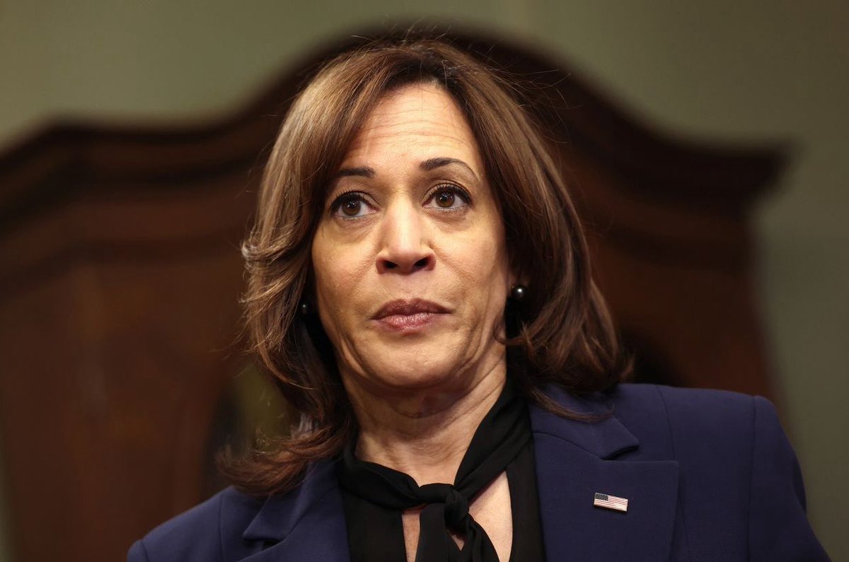 🇺🇸 Kamala Harris se préparerait à se présenter à nouveau à la présidentielle en 2028.