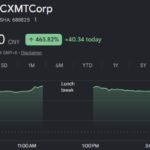 Le fabricant chinois de puces mémoire CXMT clôture en hausse de 465 % lors de son premier jour de…