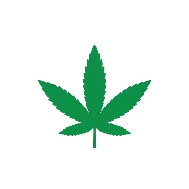 🇺🇸 De plus en plus d'Américains consomment quotidiennement de la marijuana plutôt que de boire de l'alcool…