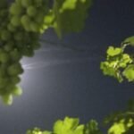 Rapports faisant état de plusieurs lancements de missiles balistiques depuis l'Iran ce soir.