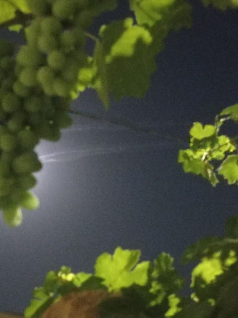 Rapports faisant état de plusieurs lancements de missiles balistiques depuis l'Iran ce soir.
