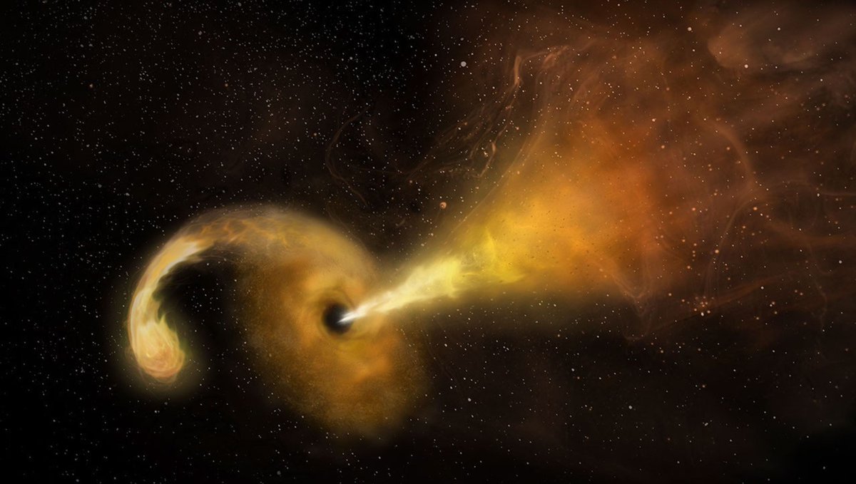 La NASA révèle que des astronomes ont détecté un rare trou noir « errant » dévorant une étoile après qu’un…