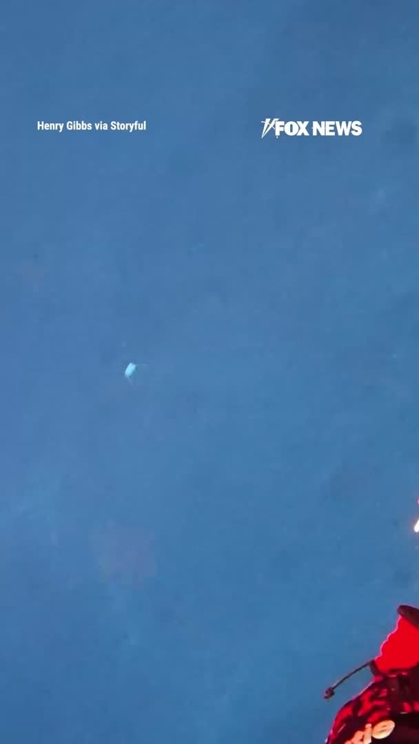 La caméra d'un plongeur capture une terrifiante attaque de requin sous-marin alors qu'il pêchait…