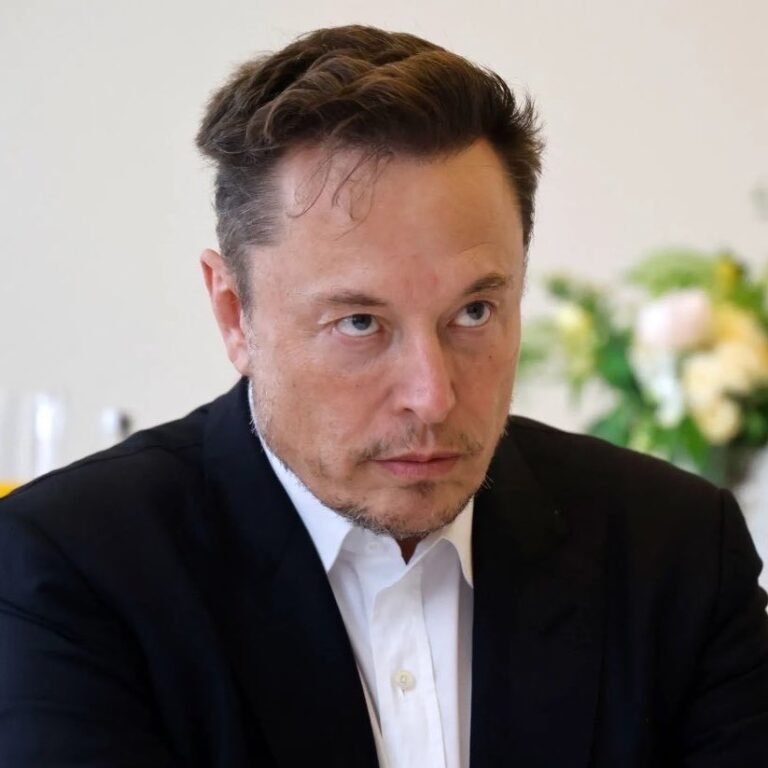 🇺🇸🇪🇸 Elon Musk affirme que "tout le budget de l'Espagne sera détruit par les migrants illégaux".