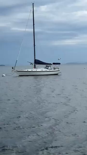 Un avion de Kenmore Air transportant 11 personnes s'écrase à Shallow Bay, au nord de Seattle.