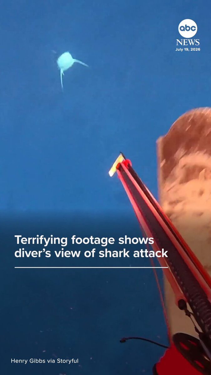 Un plongeur a capturé le moment terrifiant où un requin l’a attaqué alors qu’il pêchait sous-marine au…