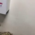 L'amiral Brad Cooper, chef du CENTCOM, a averti les troupes américaines que les images partagées depuis…