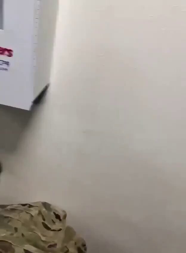 L'amiral Brad Cooper, chef du CENTCOM, a averti les troupes américaines que les images partagées depuis…