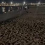 🇪🇸 Au moins 400 migrants ont déjà réussi à entrer à Melilla Comme d'autres enclaves espagnoles, Melilla…
