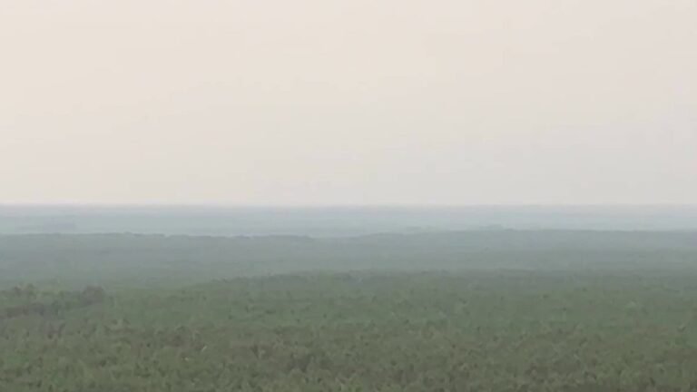 Une vidéo dramatique capture la lutte de la France contre les incendies de forêt dévastateurs, y compris…