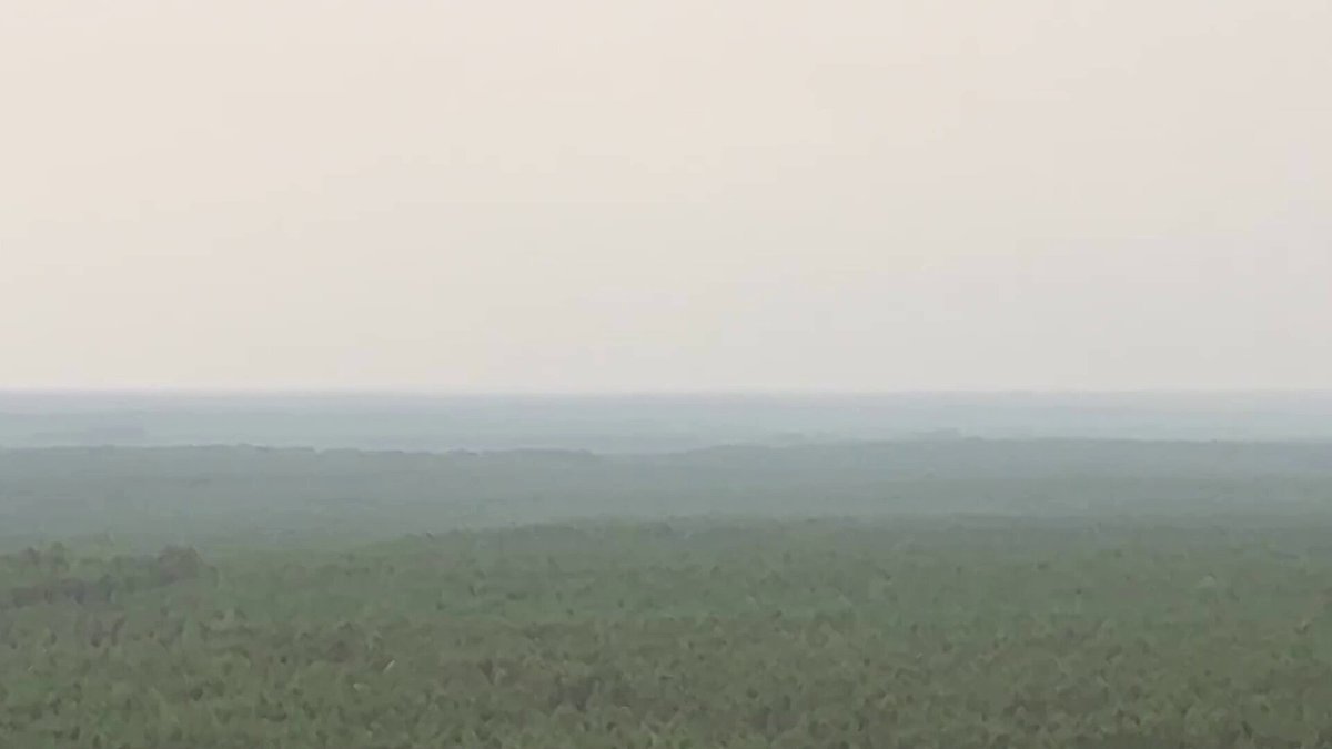Une vidéo dramatique capture la lutte de la France contre les incendies de forêt dévastateurs, y compris…
