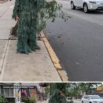 Un service de police à l'extérieur de la ville de New York utilise une tactique inhabituelle pour attraper…
