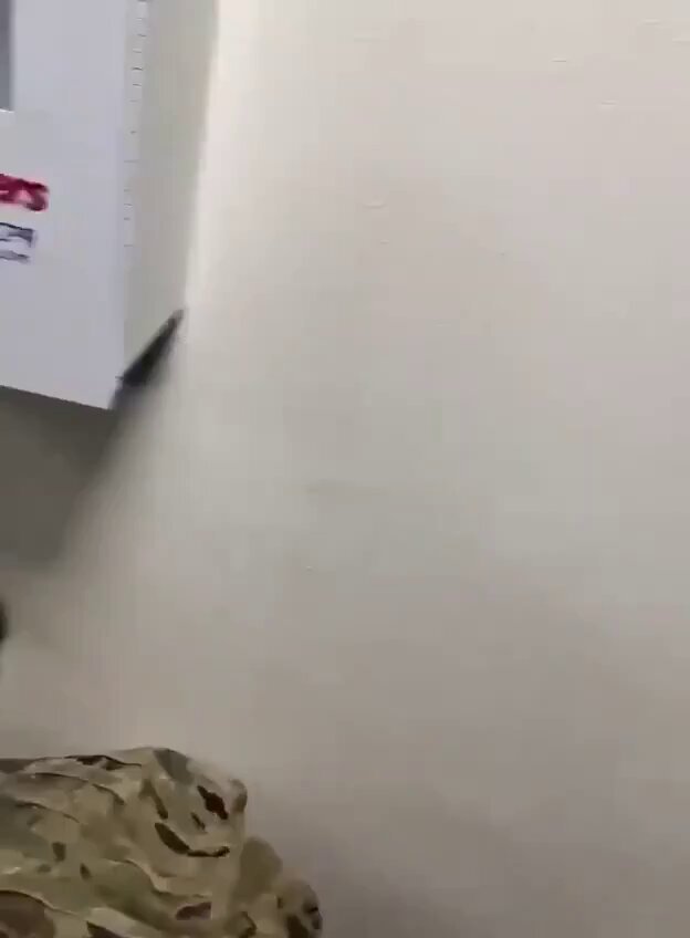 Des images capturées par un soldat américain montreraient un barrage de missiles iraniens visant la base…