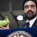 Un loup déguisé en maire de New York