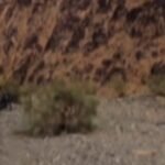 Jaysh al-Adl (« Front des combattants du peuple ») a publié une nouvelle vidéo du Sistan-Baloutchistan…