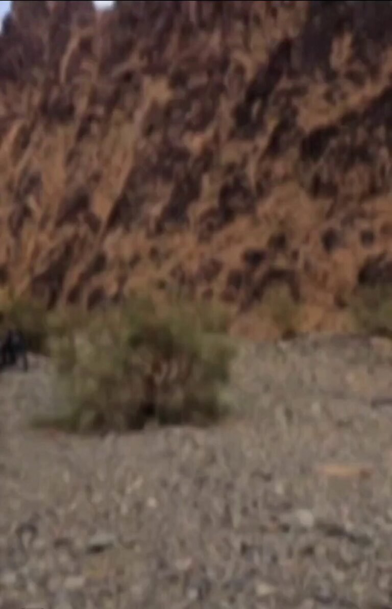 Jaysh al-Adl (« Front des combattants du peuple ») a publié une nouvelle vidéo du Sistan-Baloutchistan…