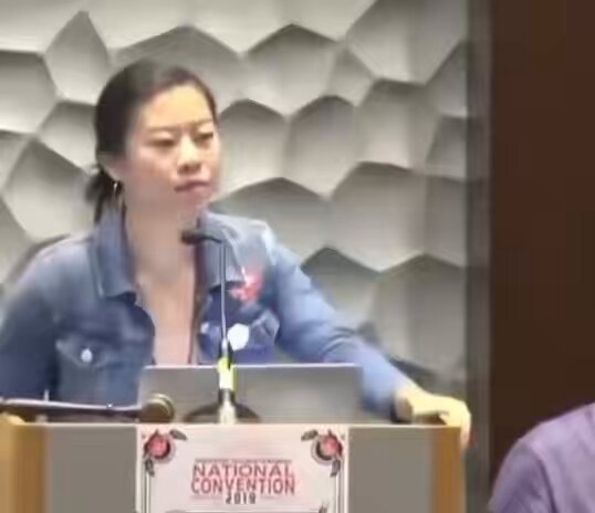 Beaucoup se sont moqués du DSA lorsqu’une vidéo de leur convention nationale de 2019 a été diffusée.