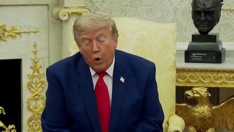 PRÉSIDENT TRUMP : "J'ai lu des histoires et ils essaient de vous donner de fausses statistiques.
