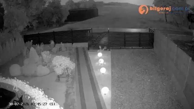 Des caméras de vidéosurveillance installées dans une maison du sud-est de la Pologne ont capturé le moment…
