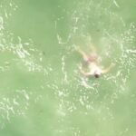Le FDNY a publié une vidéo montrant un drone larguant des dispositifs de flottaison sur un nageur en…