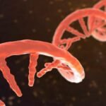Une université chinoise examine la recherche sur l'édition génétique alors que la famille révèle le décès de sa fille