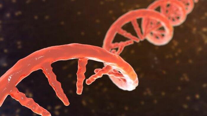 Une université chinoise examine la recherche sur l'édition génétique alors que la famille révèle le décès de sa fille