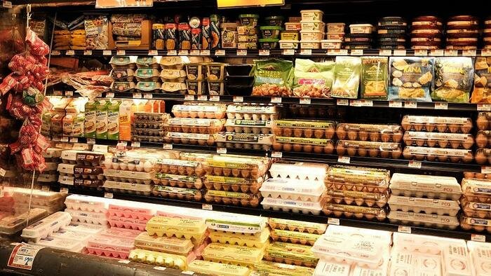 19 millions d'œufs sont retirés alors qu'une épidémie de salmonelle rend 98 malades dans 17 États