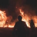 Incendies de forêt en Europe, stagnation du zéro net et grand déplacement de l’industrie