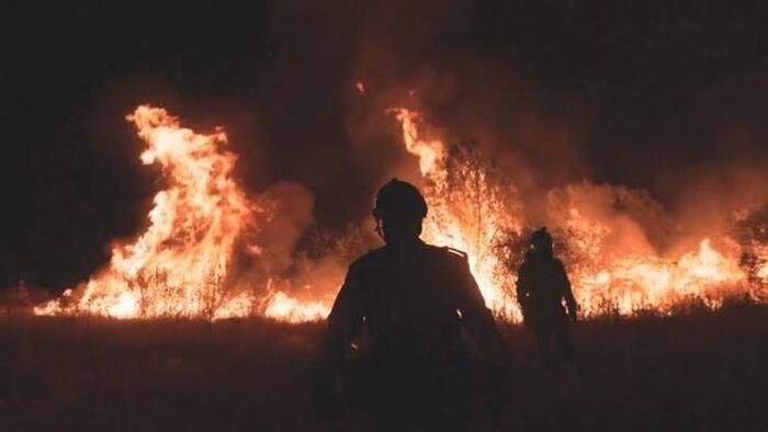 Incendies de forêt en Europe, stagnation du zéro net et grand déplacement de l’industrie