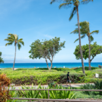 Des membres d'une famille californienne affirment avoir été attaqués dans un complexe hôtelier de luxe à Maui lors d'une violente mêlée