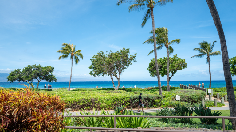Des membres d'une famille californienne affirment avoir été attaqués dans un complexe hôtelier de luxe à Maui lors d'une violente mêlée