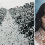 Un adolescent retrouvé dans une tombe peu profonde d'un vignoble californien identifié près de 50 ans plus tard alors que sa famille met en garde contre le tueur